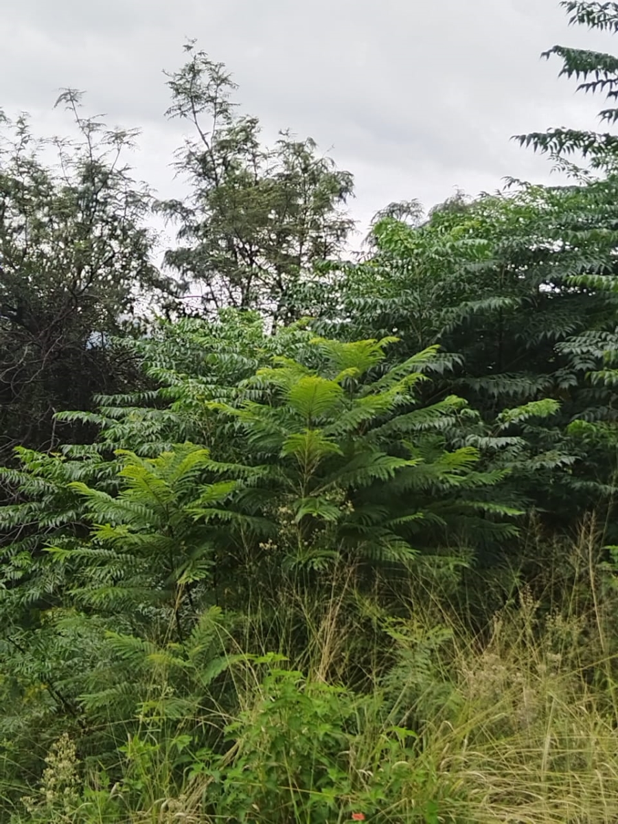 Commercial Property for Sale in Falcon View Estate North West